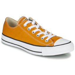 converse taylor giallo