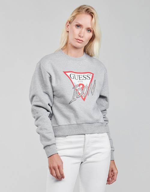 Felpa-ICON-FLEECE-Grigio-1