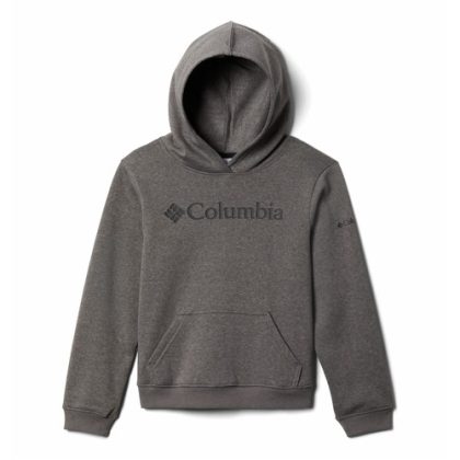 Felpa ragazzo Columbia  COLUMBIA TREK HOODIE  Grigio Columbia 194894607770