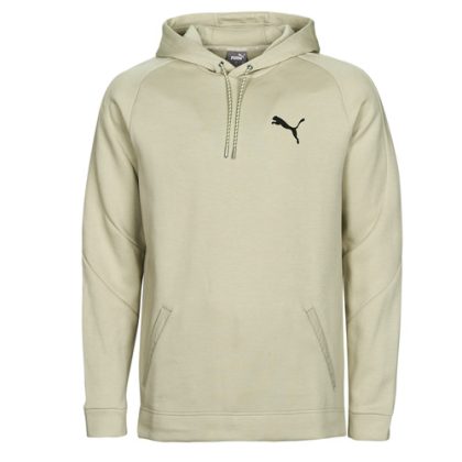 Felpa uomo Puma  DAY IN MOTION HOODIE DK  Grigio Puma 4065449242639