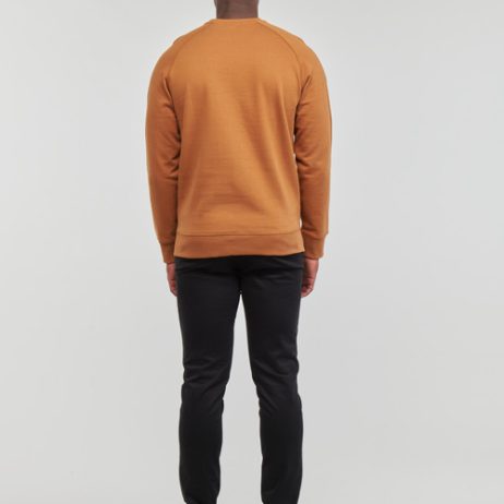 Felpa-uomo-Timberland-Exeter-River-Basic-Brushed-Back-Crew-Sweatshirt-Regular-Marrone-Timberland-196246856447-3