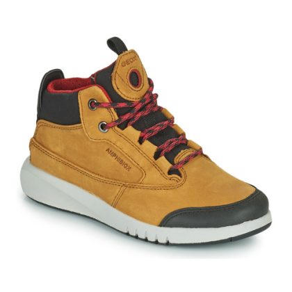 Scarpe bambini ragazzo Geox  AERANTER ABX  Marrone Geox 8054730803419