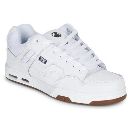 Scarpe uomo DVS  ENDURO HEIR  Bianco DVS 045269194527