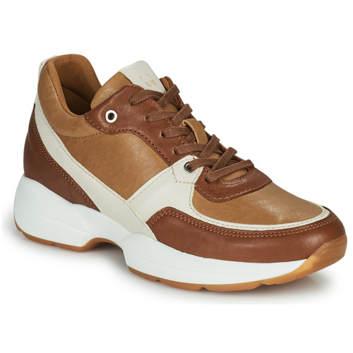 Sneakers basse    AGAPANTHE  Marrone