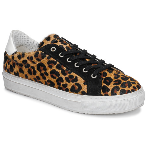 Sneakers basse    BP80245-62  Marrone