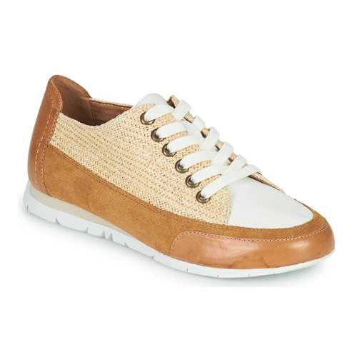 Sneakers basse    CAMINO  Marrone