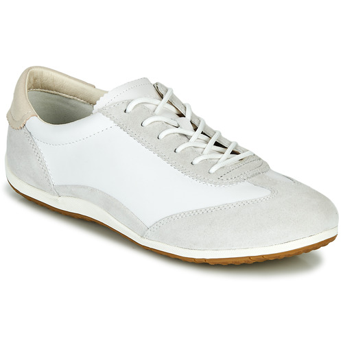 Sneakers basse    D VEGA  Bianco