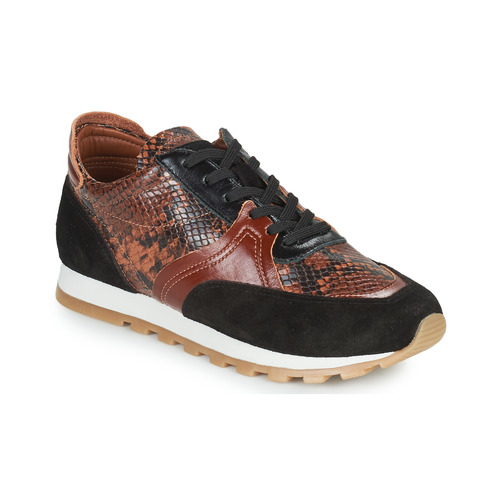 Sneakers basse    GLOIRE  Marrone