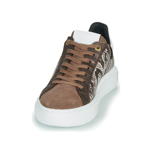 Sneakers-basse-HIBISCUS-Marrone-2