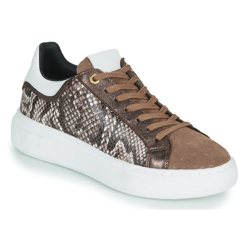 Sneakers basse    HIBISCUS  Marrone