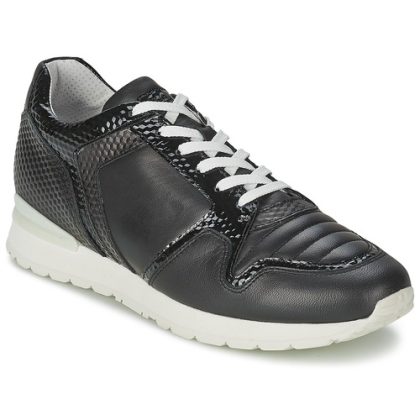 Sneakers basse    KATE 420  Nero