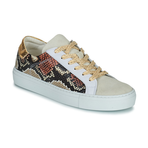 Sneakers basse    PAVLINA  Beige