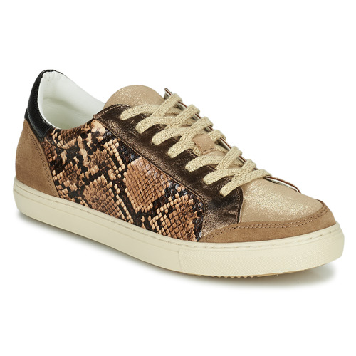 Sneakers basse    PERMINA  Marrone