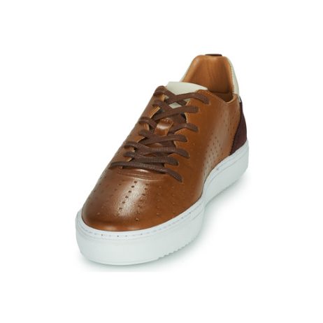 Sneakers-uomo-Carlington-FREDDI-Marrone-Carlington-2