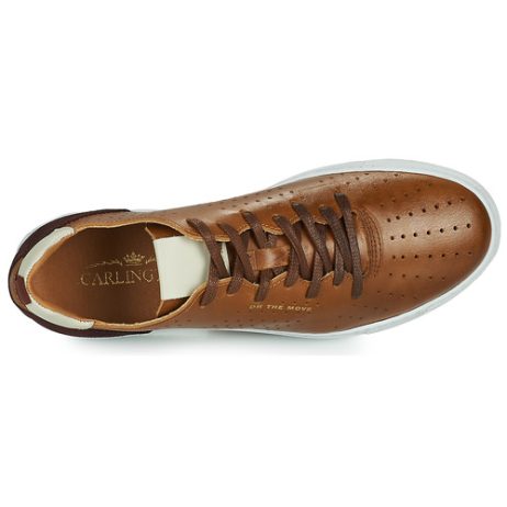 Sneakers-uomo-Carlington-FREDDI-Marrone-Carlington-5