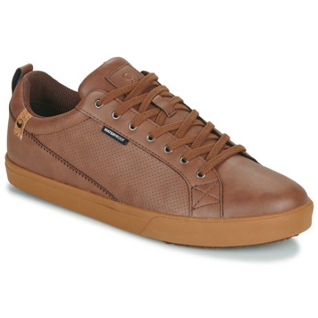 Sneakers uomo Saola  CANNON WP  Marrone Saola 3664613031386