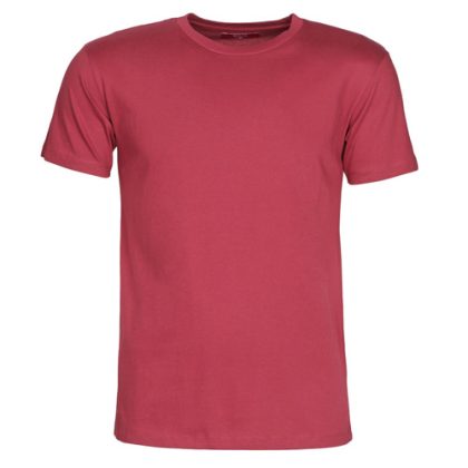 T-shirt uomo BOTD  MATILDO  Bordeaux BOTD