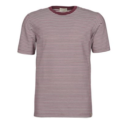 T-shirt uomo Scotch & Soda  160847  Rosso Scotch & Soda 8719029407432