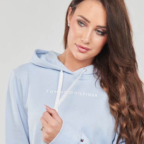 Felpa-REG-FROSTED-CORP-LOGO-HOODIE-Blu-4