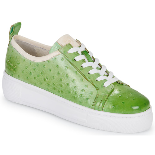 Sneakers basse    AMBER 6  Verde