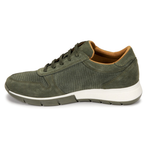 Sneakers-basse-ARTEMISIA-Verde-3