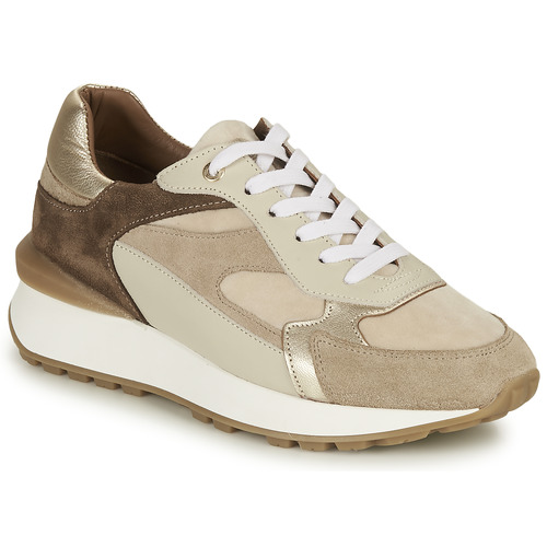 Sneakers basse    FORTE  Beige