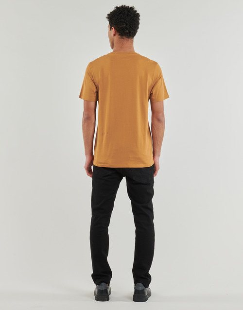 T-shirt-uomo-Timberland-Tree-Logo-Short-Sleeve-Tee-Giallo-Timberland-194902948840-3