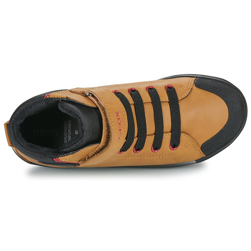 Scarpe-bambini-ragazzo-Geox-J-GISLI-BOY-Marrone-Geox-8056206877368-5