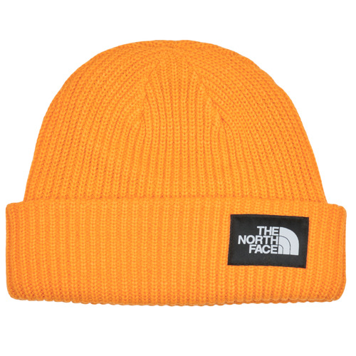 Berretto    SALTY LINED BEANIE