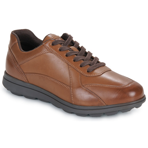 Sneakers uomo Geox  U SPHERICA EC12  Marrone Geox 8056206620759