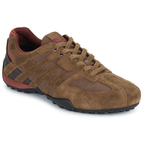 Sneakers uomo Geox  UOMO SNAKE  Marrone Geox 8058192010217