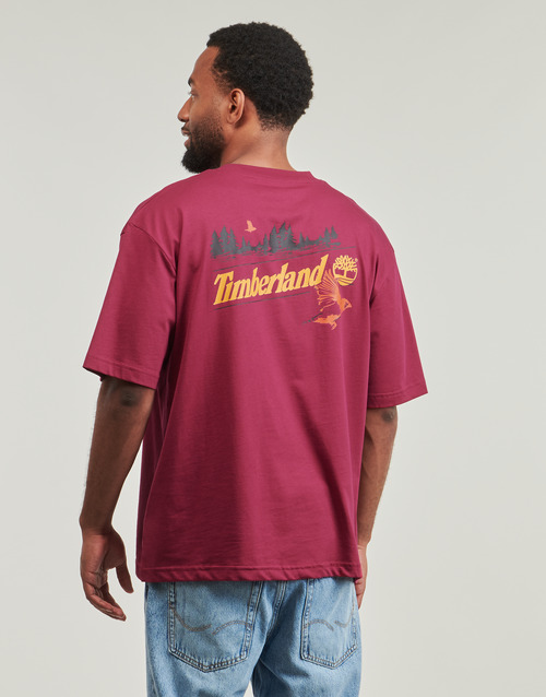 T-shirt-uomo-Timberland-SS-GRAPHIC-TEE-Bordeaux-Timberland-197065389031-1