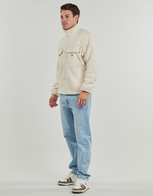 Giacca-uomo-Dickies-PINESDALE-JACKET-Beige-Dickies-195439915046-2