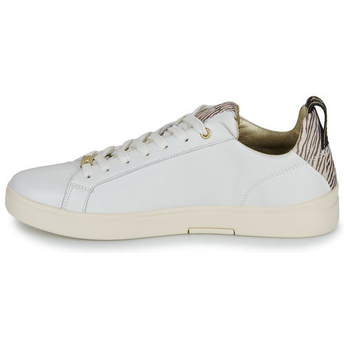 Sneakers-basse-POLYS-W-STUDIO-3